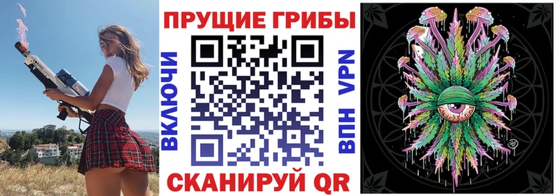 Галлюциногенные грибы Magic Shrooms  Купить закладки  Анадырь 